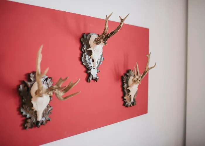 Gaestehaus Sonnenplatzerl * Pfronten